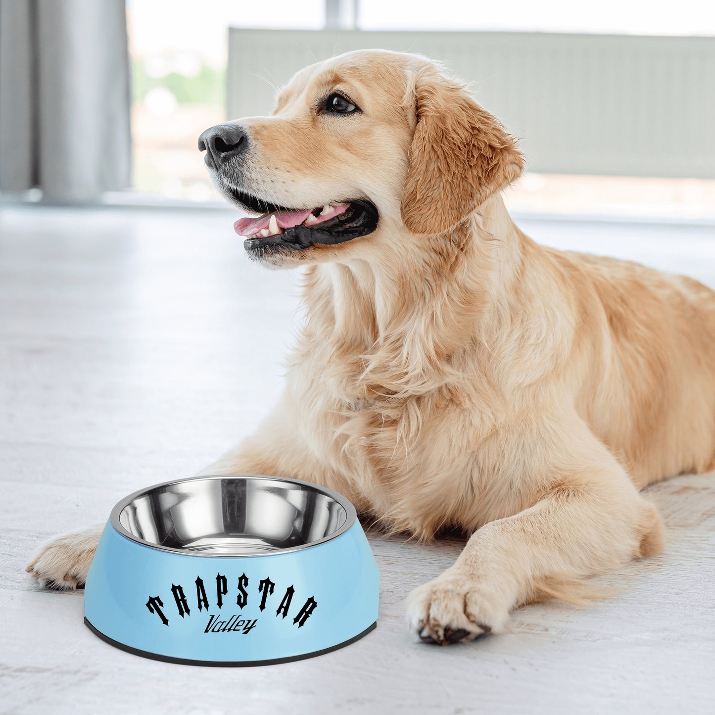 Trap Star Valley Pet Food Bowl