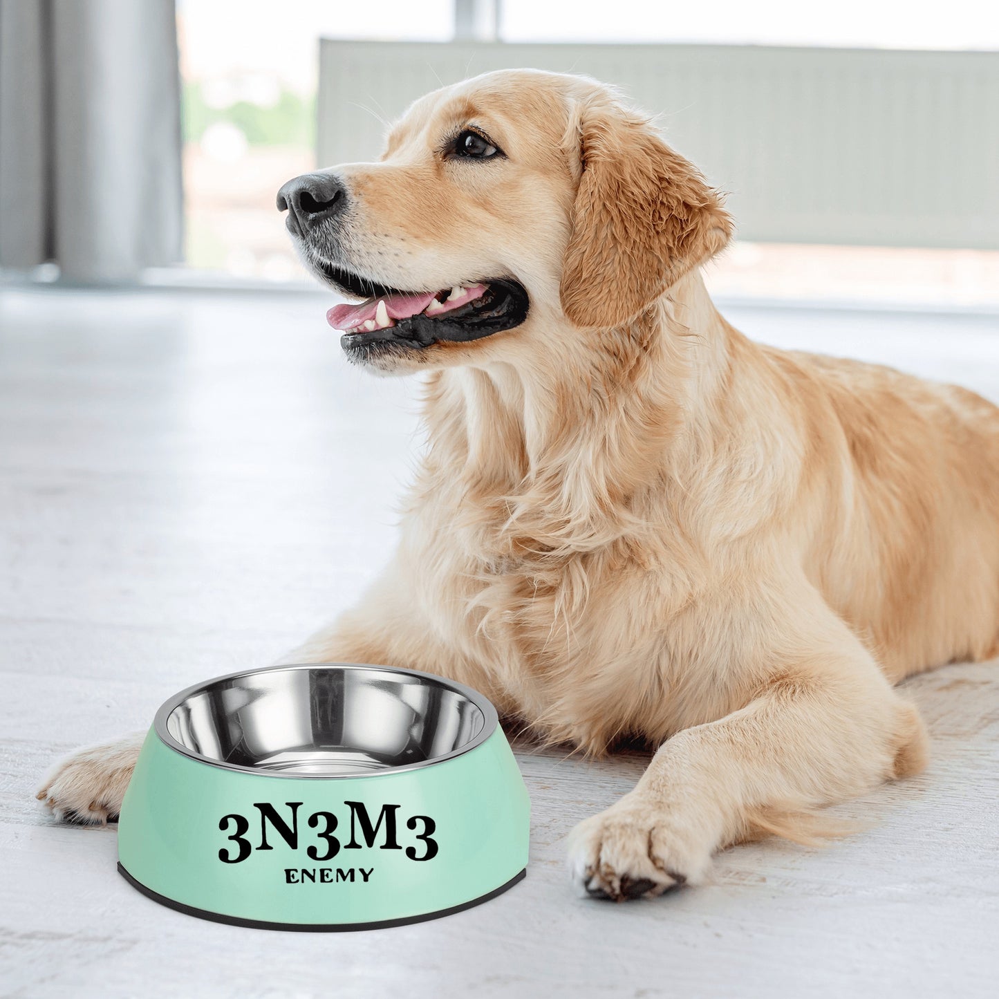 3.N.3.M.3 Enemy  Pet Food Bowl