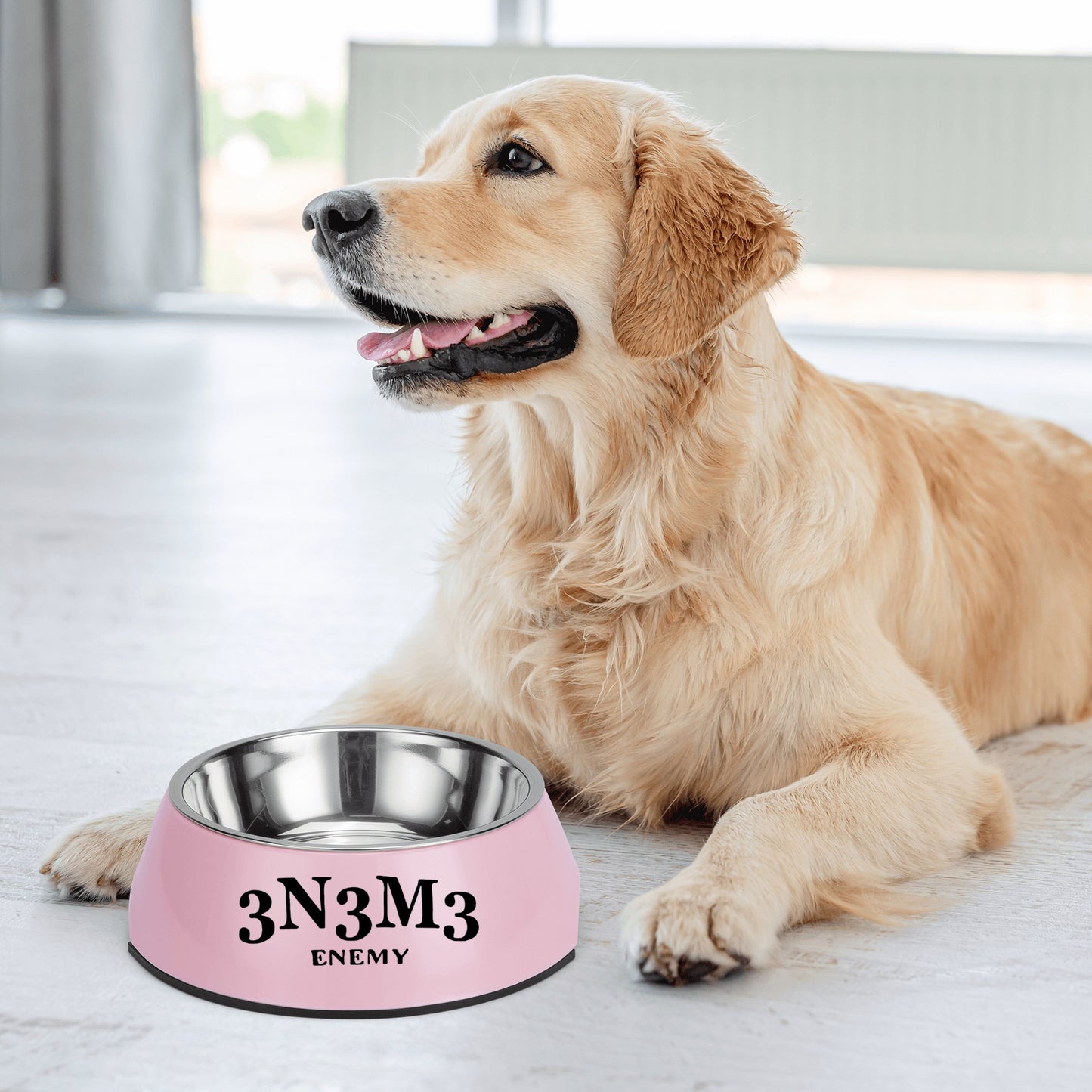 3.N.3.M.3 Enemy  Pet Food Bowl