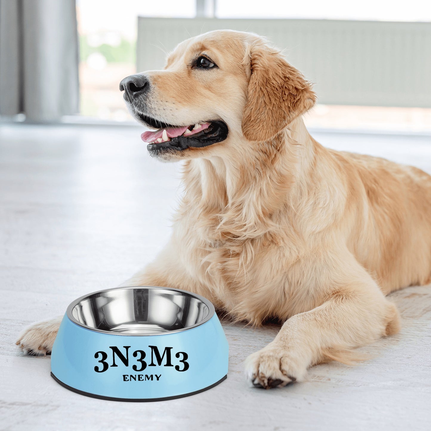 3.N.3.M.3 Enemy  Pet Food Bowl