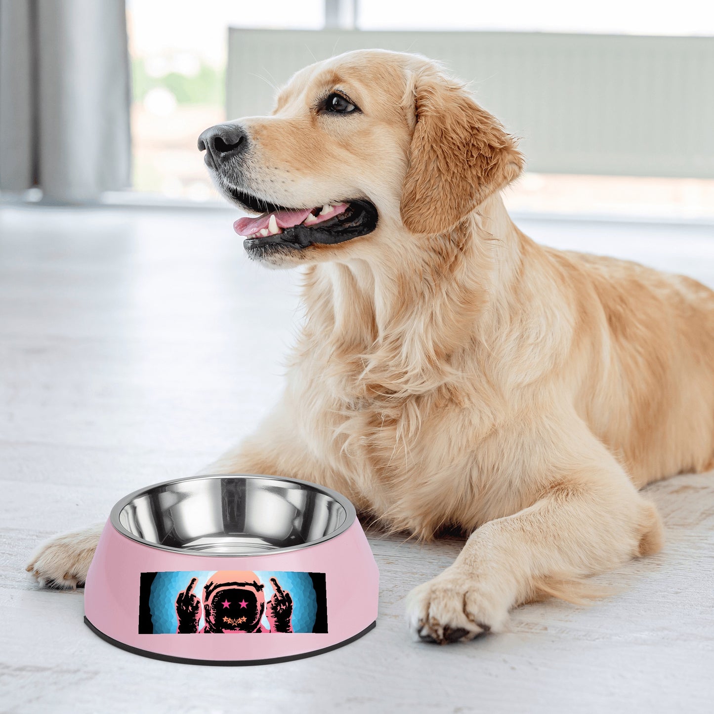 Star Energy 1.0 Pet Food Bowl