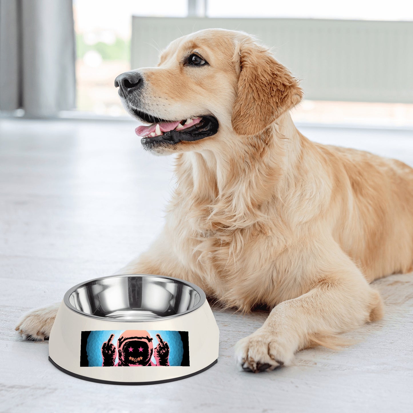 Star Energy 1.0 Pet Food Bowl