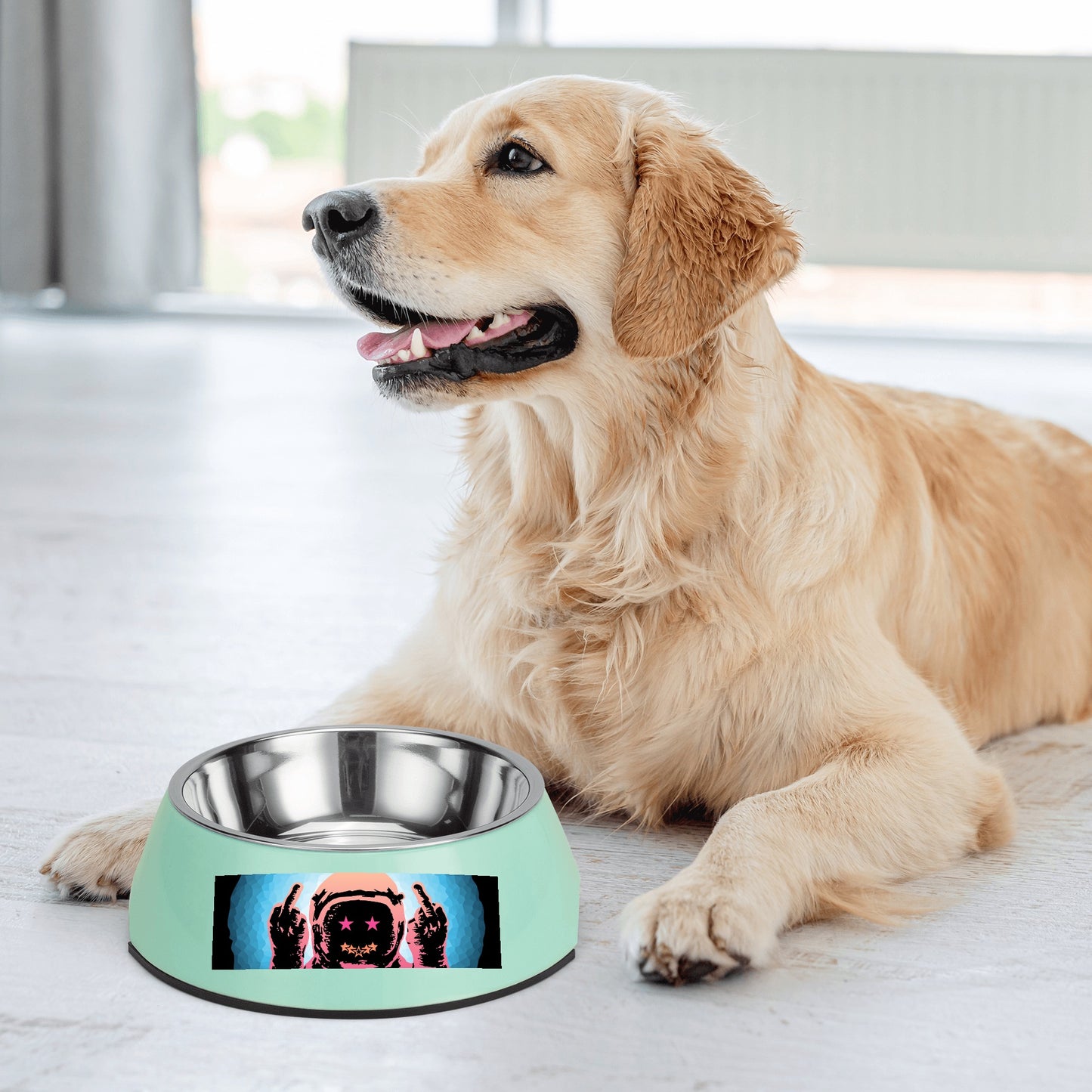 Star Energy 1.0 Pet Food Bowl