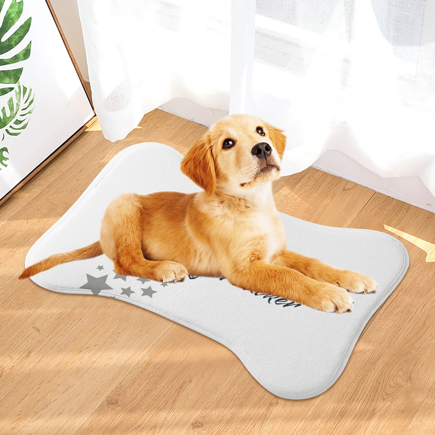 Star Walker 1.0 Big Paws Pet Rug