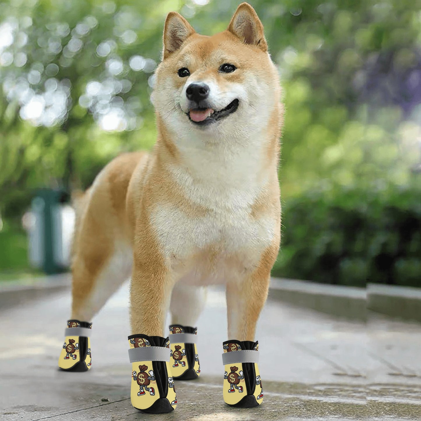 T.T.D (Ten Toes Down) Tan Non Slip Dog Socks