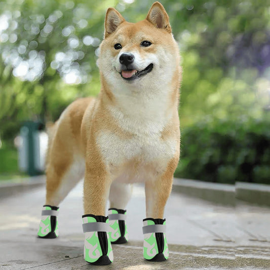 Star Kraken Mint Green Non Slip Dog Socks