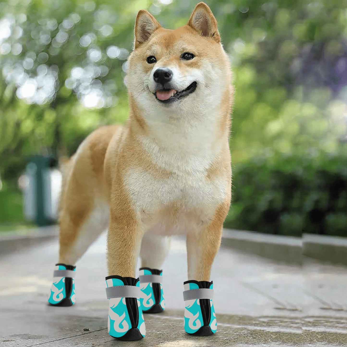 Star Kraken Turquoise Non Slip Dog Socks