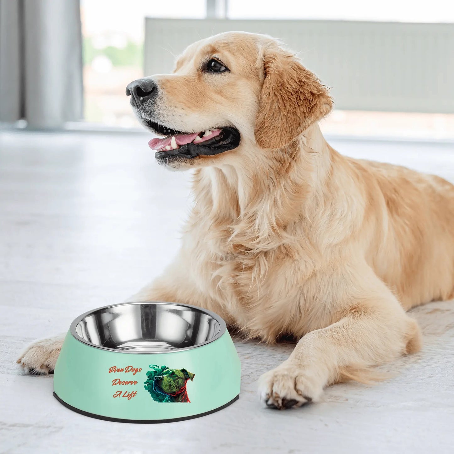 D.D.W. Doggys Dog World Pet Food Bowl