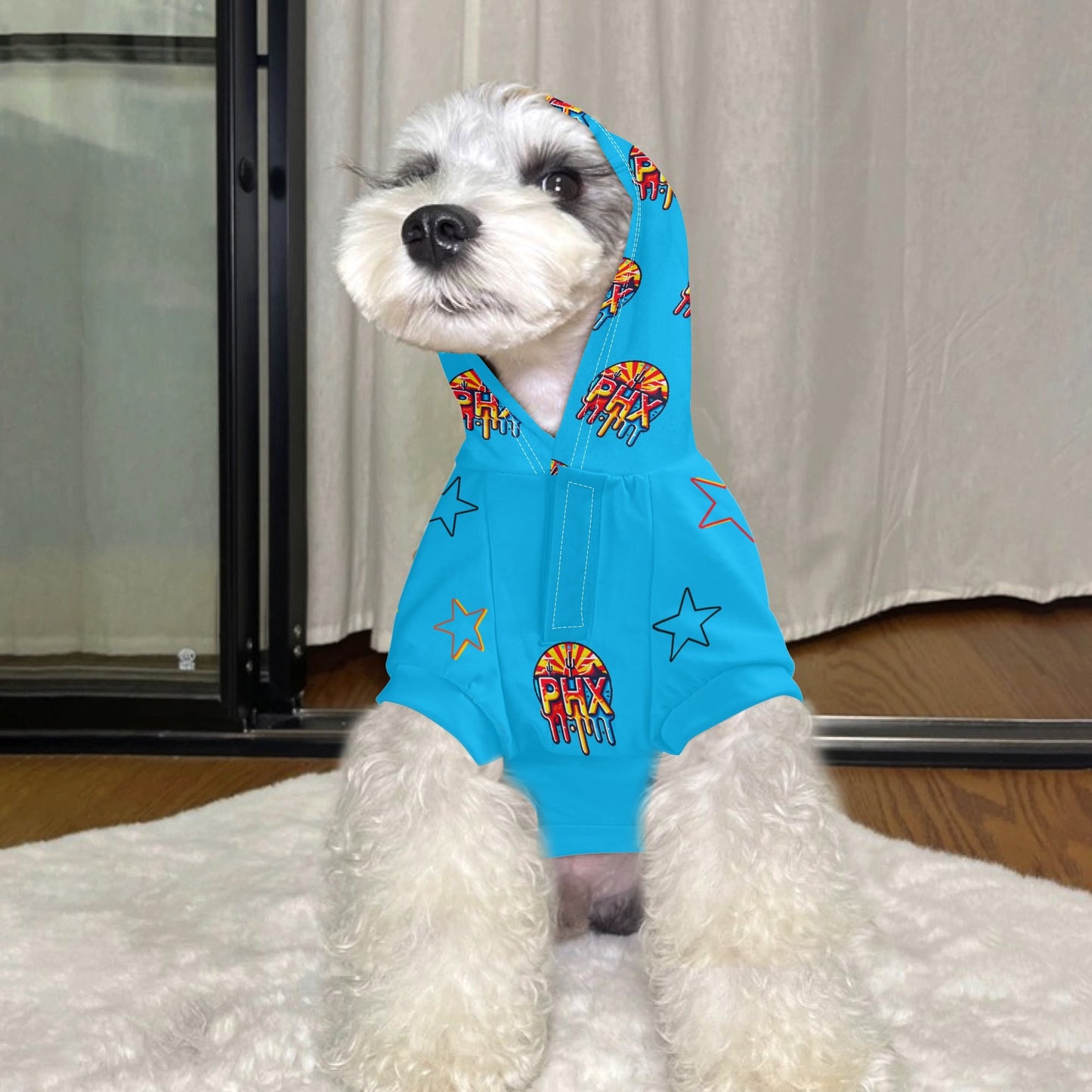 Vulture Valley Turquoise Pet Outfit Pullover Hoodie