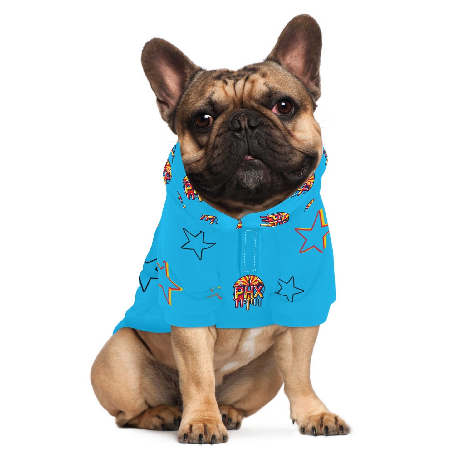 Vulture Valley Turquoise Pet Outfit Pullover Hoodie