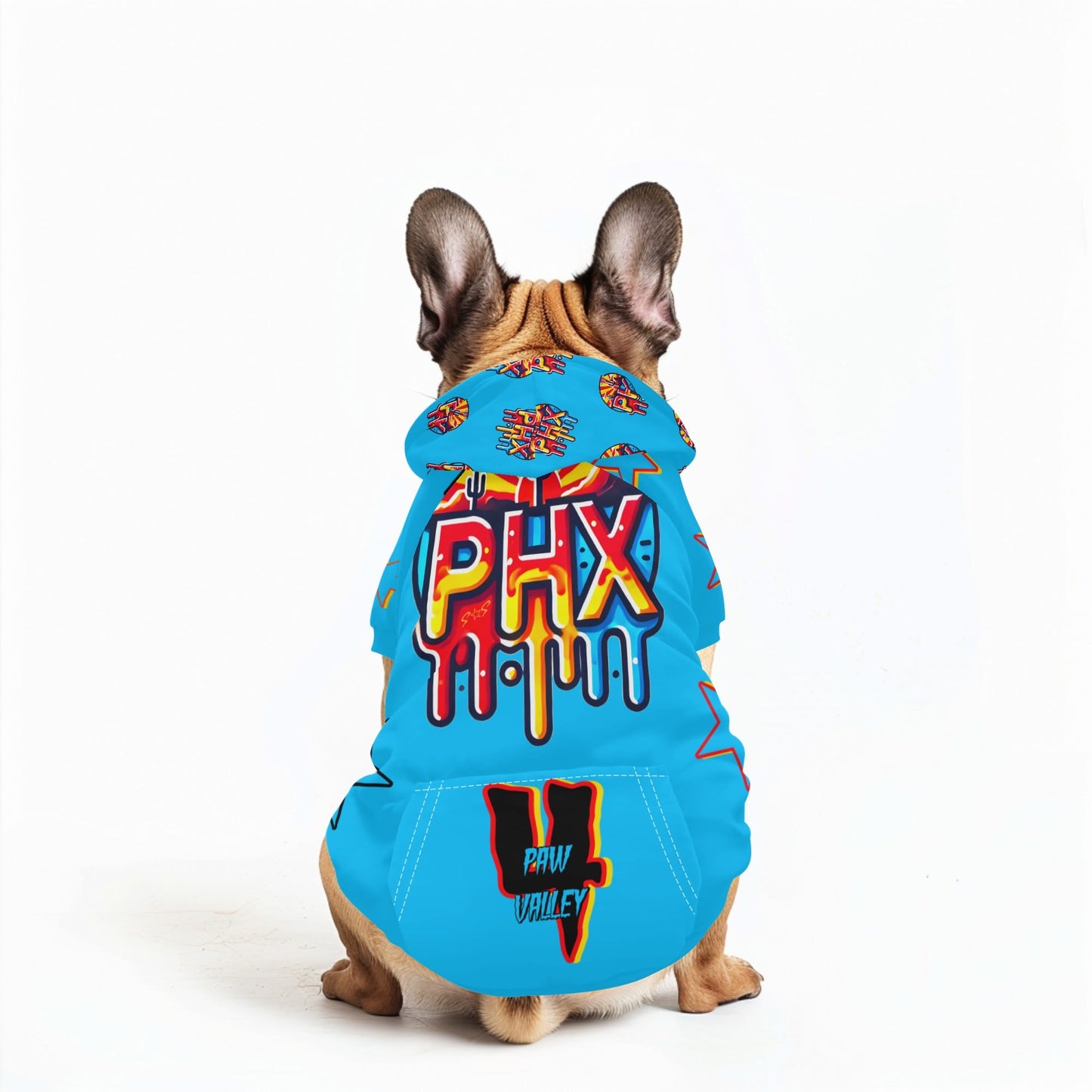 Vulture Valley Turquoise Pet Outfit Pullover Hoodie