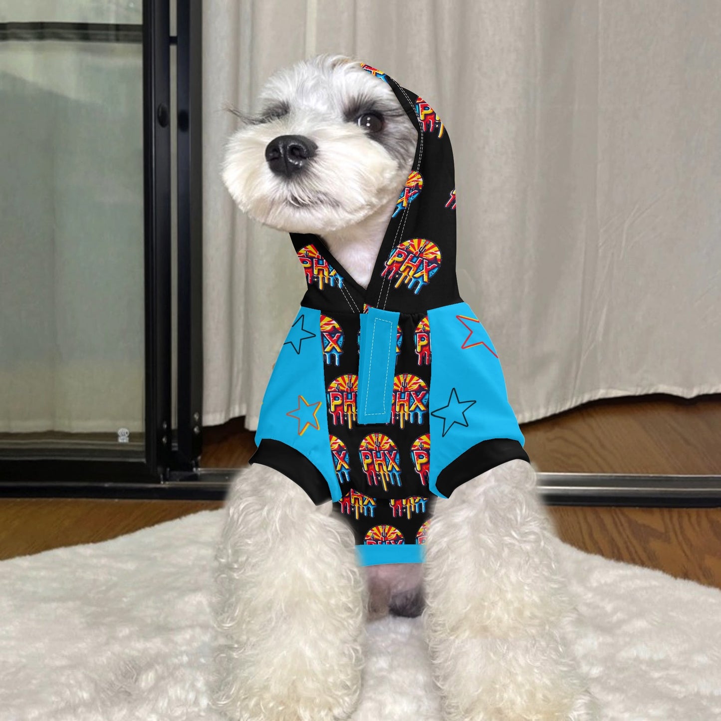 Vulture Valley Black/Turquoise Pet Outfit Pullover Hoodie