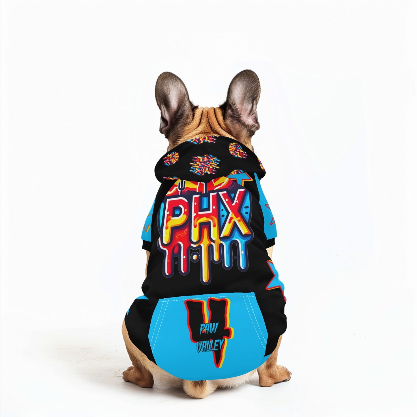 Vulture Valley Black/Turquoise Pet Outfit Pullover Hoodie