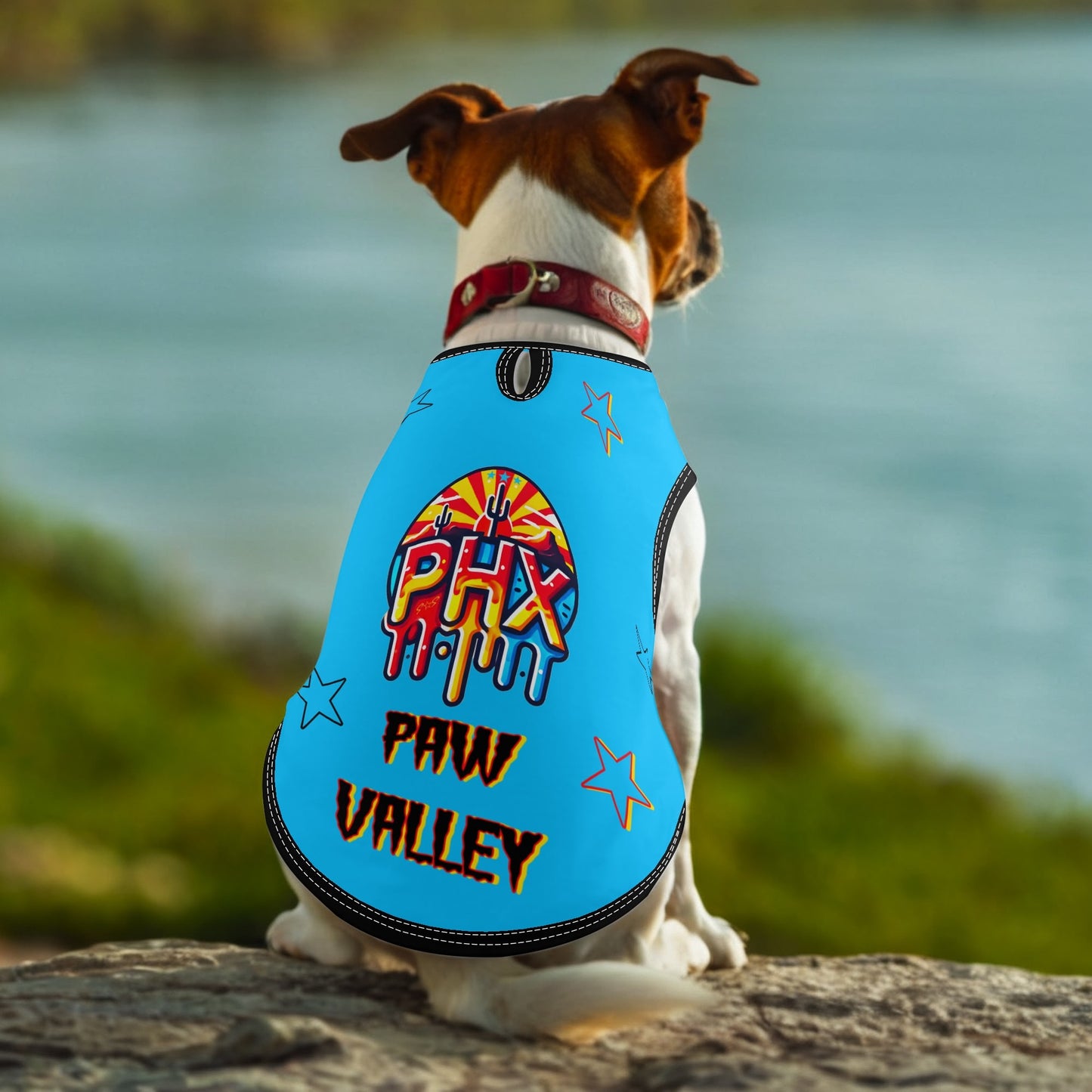 Vulture Valley  Turquoise/Black Pet Hoodies for Small Medium Dogs