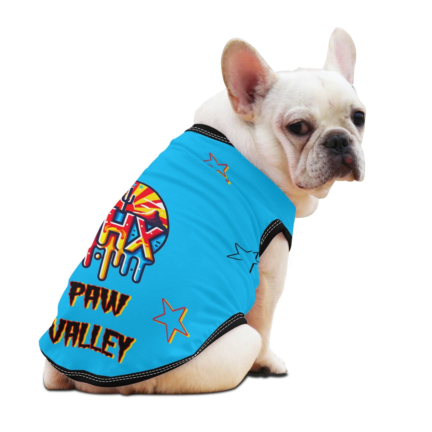 Vulture Valley  Turquoise/Black Pet Hoodies for Small Medium Dogs