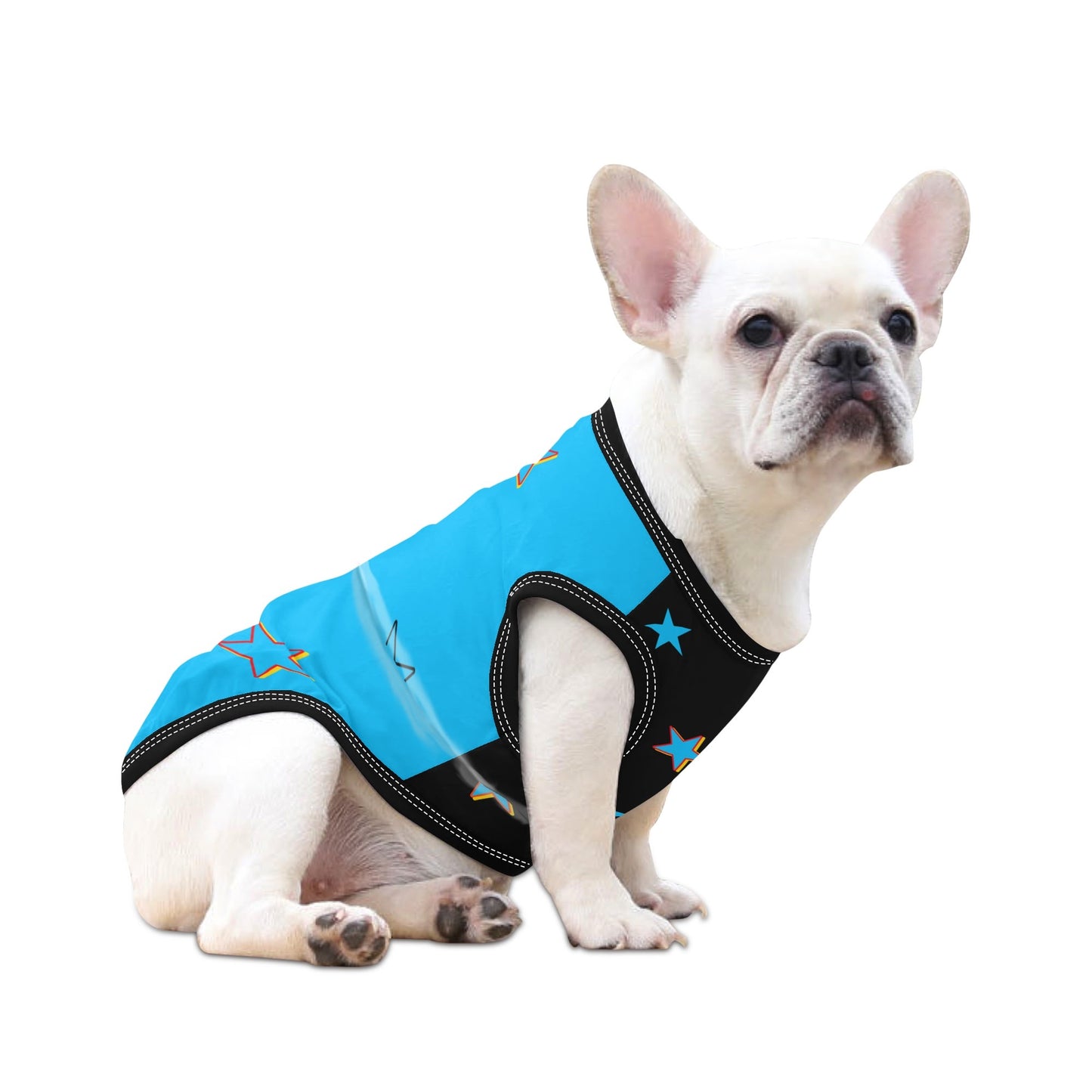 Vulture Valley  Turquoise/Black Pet Hoodies for Small Medium Dogs