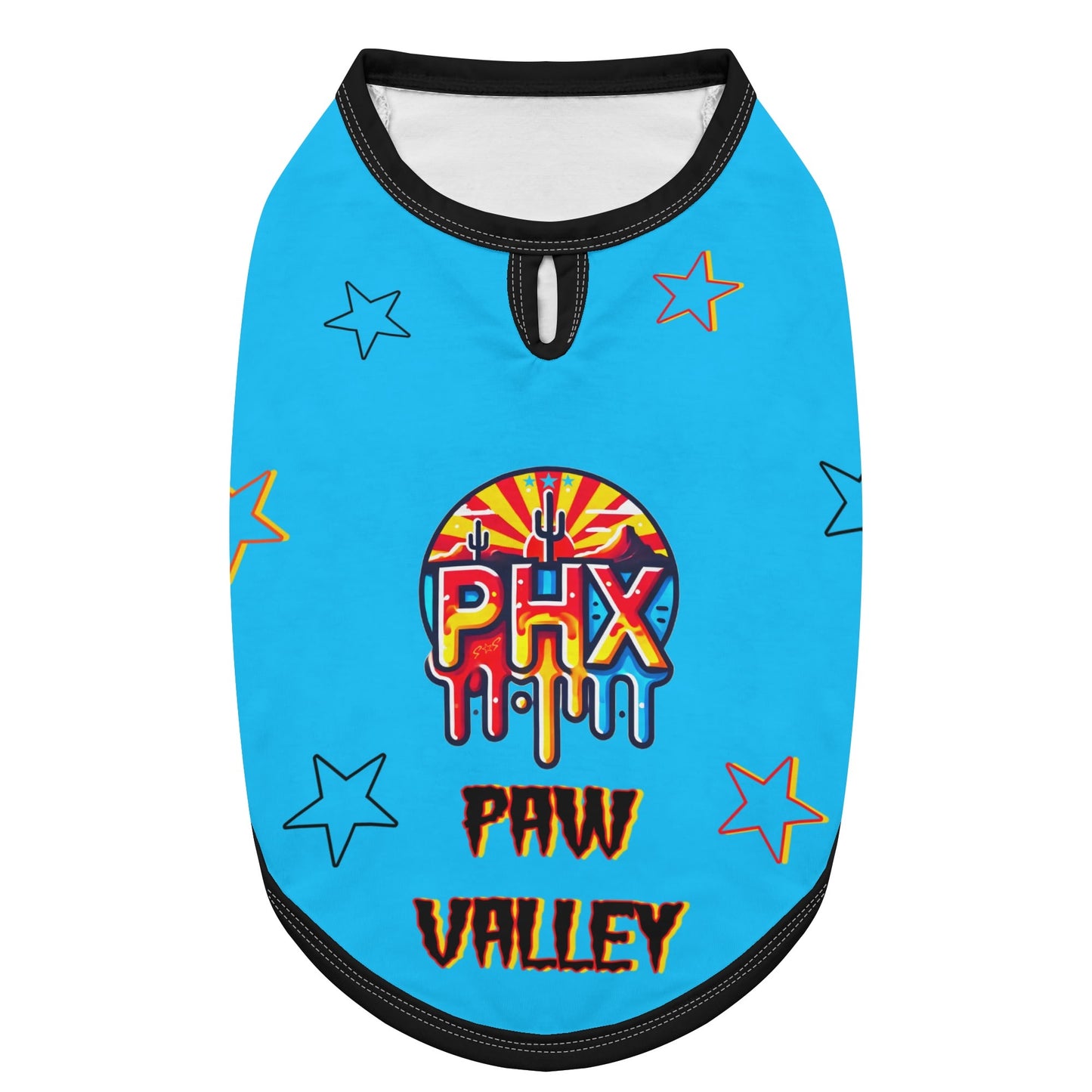 Vulture Valley  Turquoise/Black Pet Hoodies for Small Medium Dogs