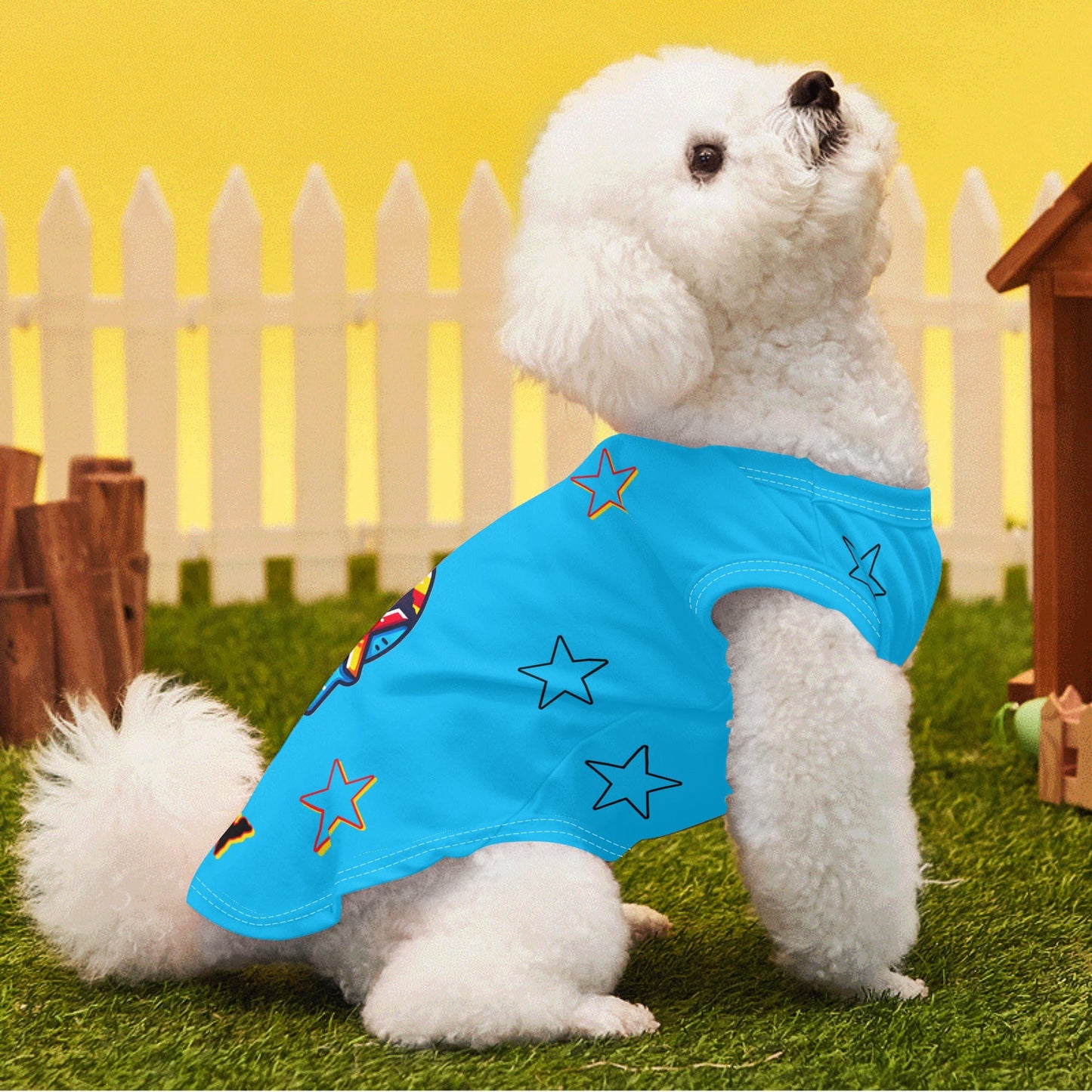 Vulture Valley Turquoise Pet Hoodies for Small/Medium Dogs