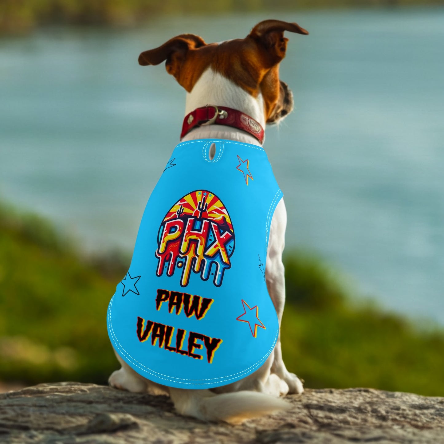 Vulture Valley Turquoise Pet Hoodies for Small/Medium Dogs