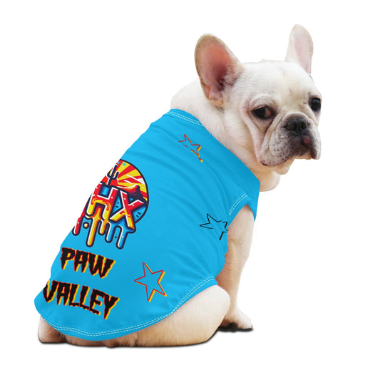 Vulture Valley Turquoise Pet Hoodies for Small/Medium Dogs