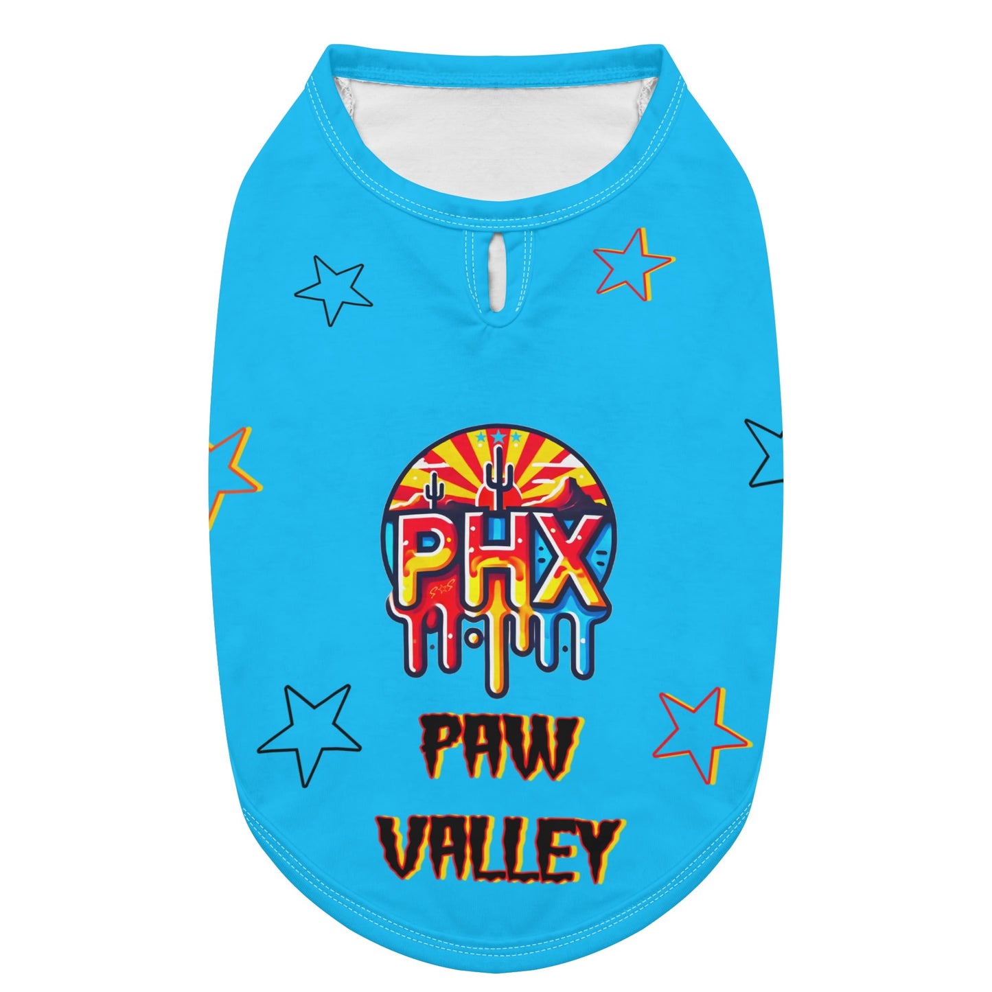 Vulture Valley Turquoise Pet Hoodies for Small/Medium Dogs