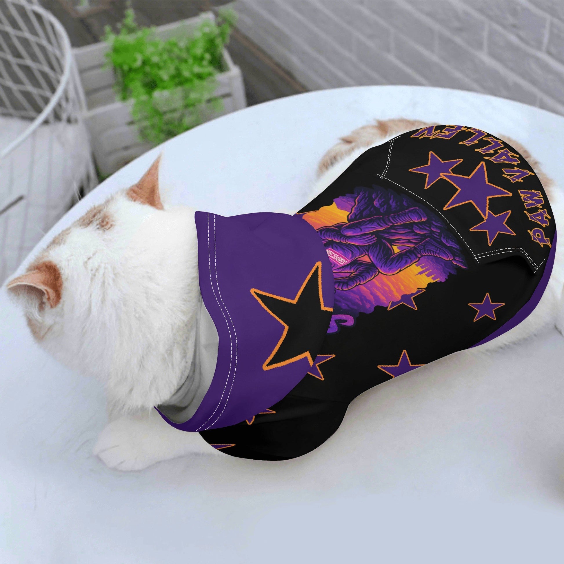 filename-1758533229-1-PgyHoMiivO