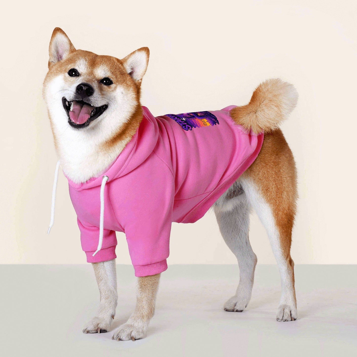 filename-1758533435-8-78TNF5W7pm