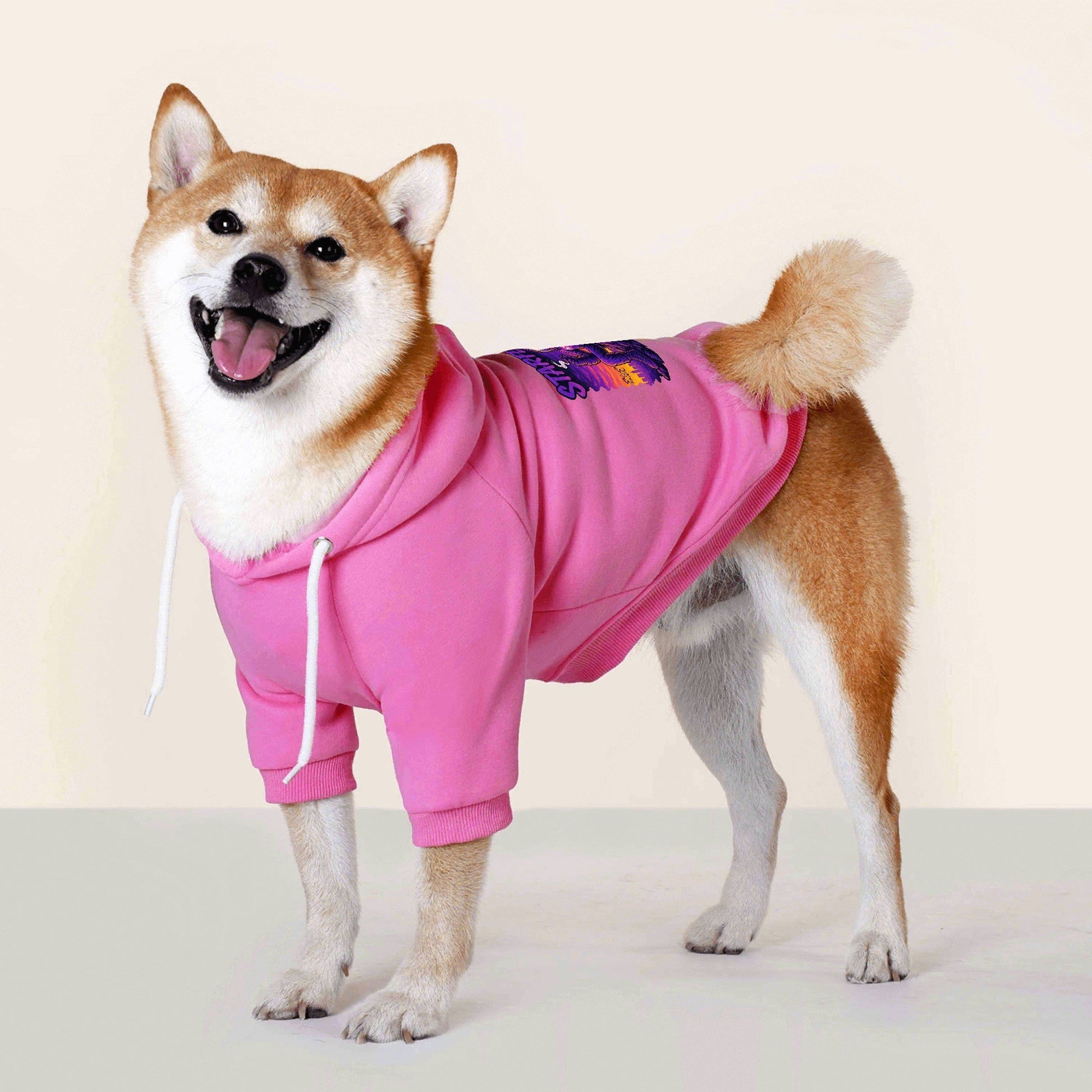 filename-1758533435-8-78TNF5W7pm