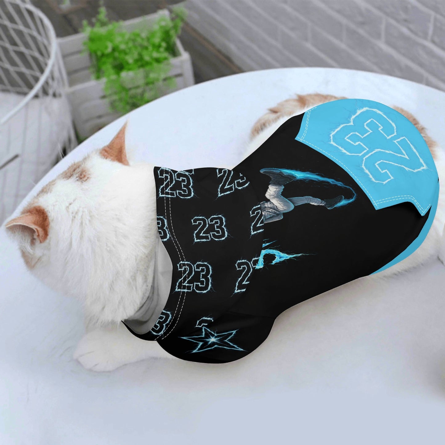 filename-1766448982-1-v9k3CxCAv6