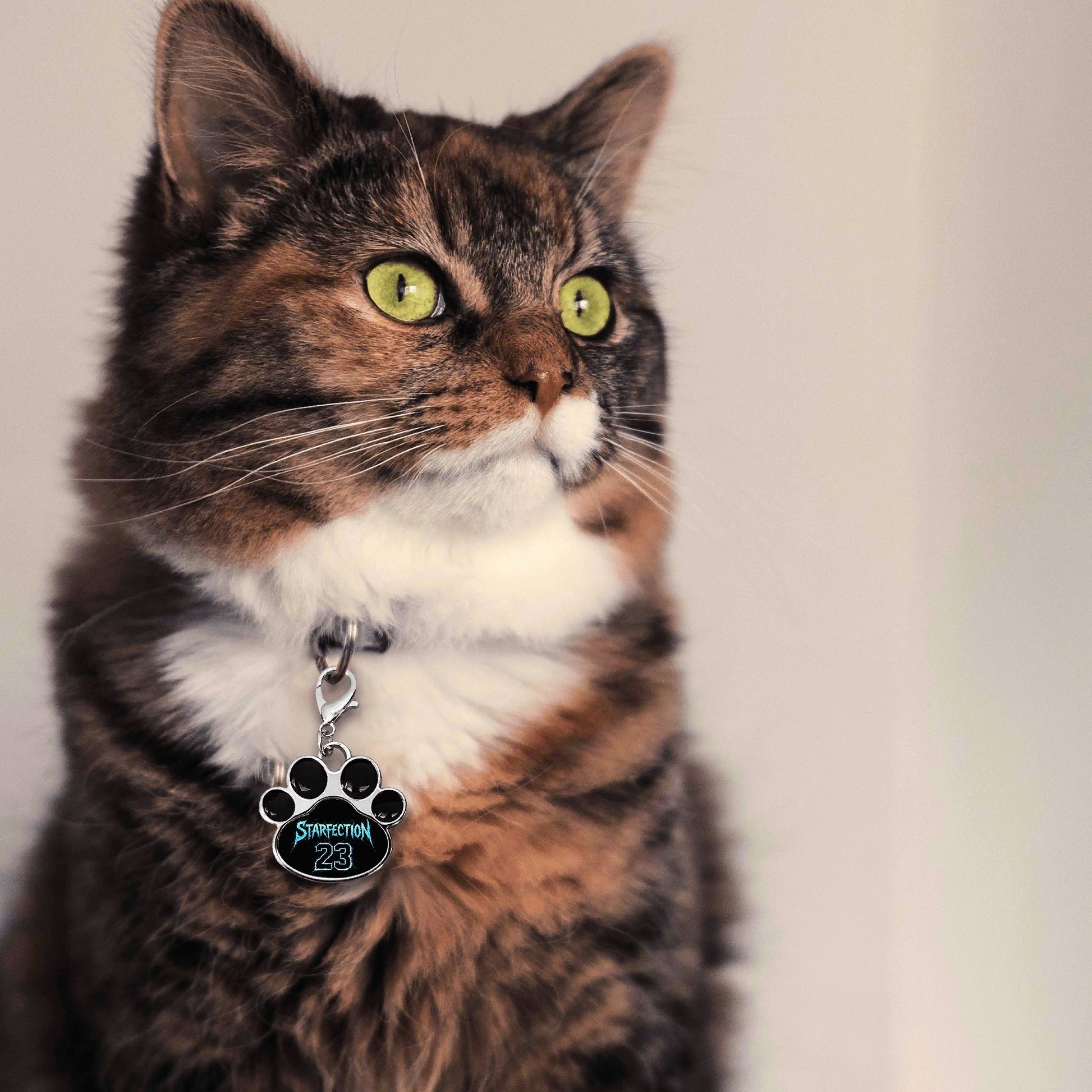 filename-1766621730-5-9booK97uD6