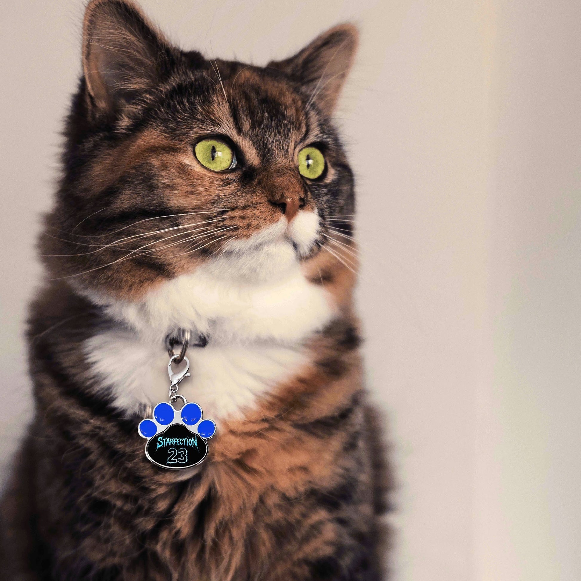 filename-1766621730-6-9booK97uD6