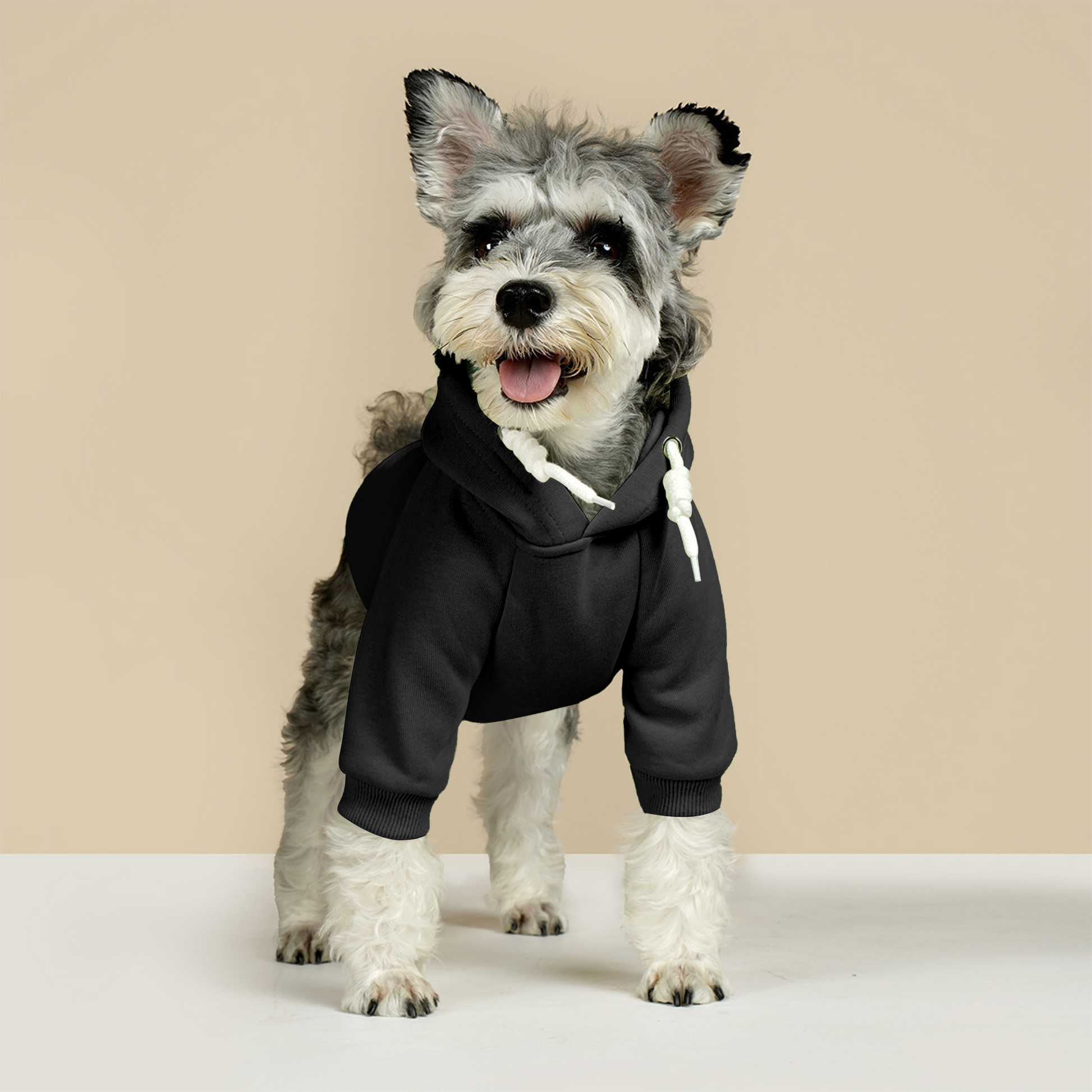 filename-20241115185053-DCXrOVGvuz